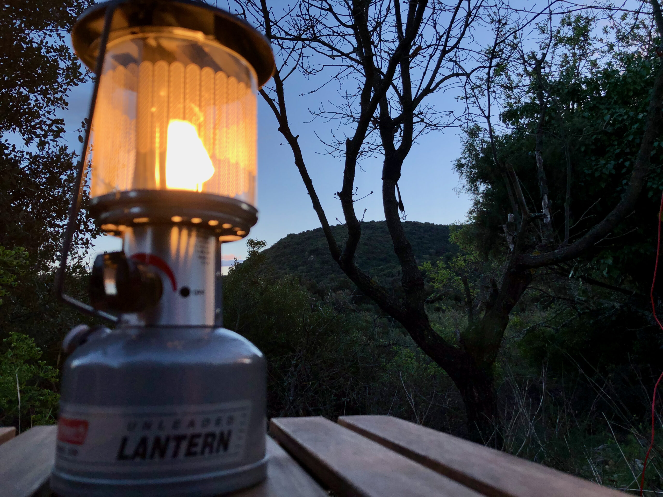 Lantern